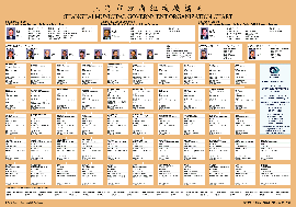Shanghai Municipal Government Organization Chart