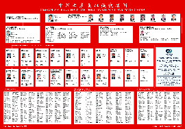 Communist Party of China Organization Chart